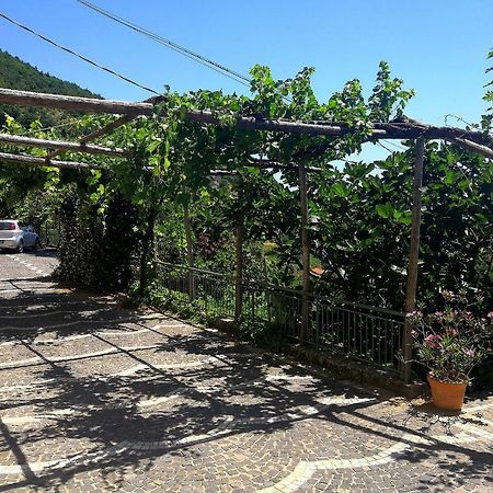 Villa Agriturismo Il Castagno Agerola Exterior foto