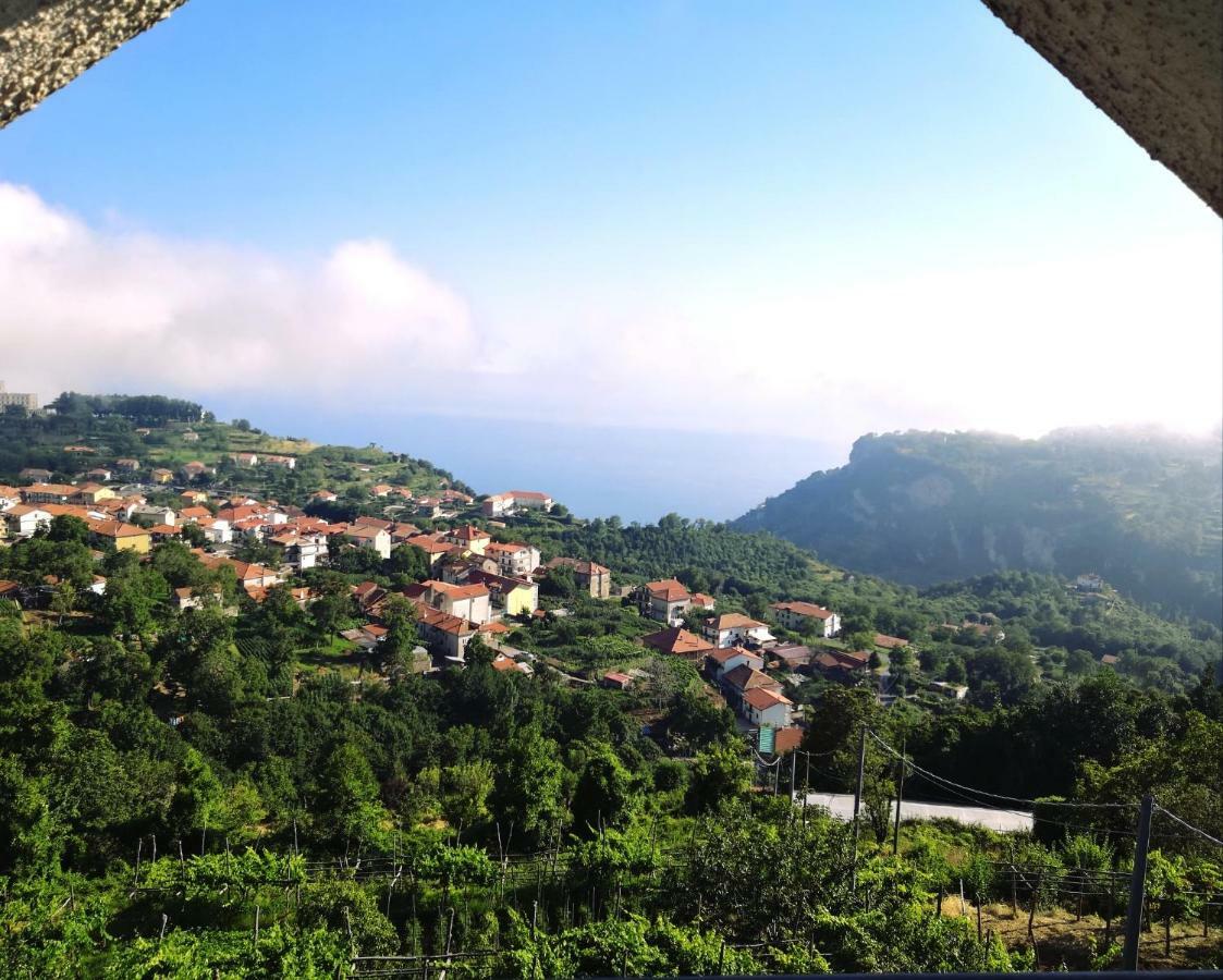 Villa Agriturismo Il Castagno Agerola Exterior foto