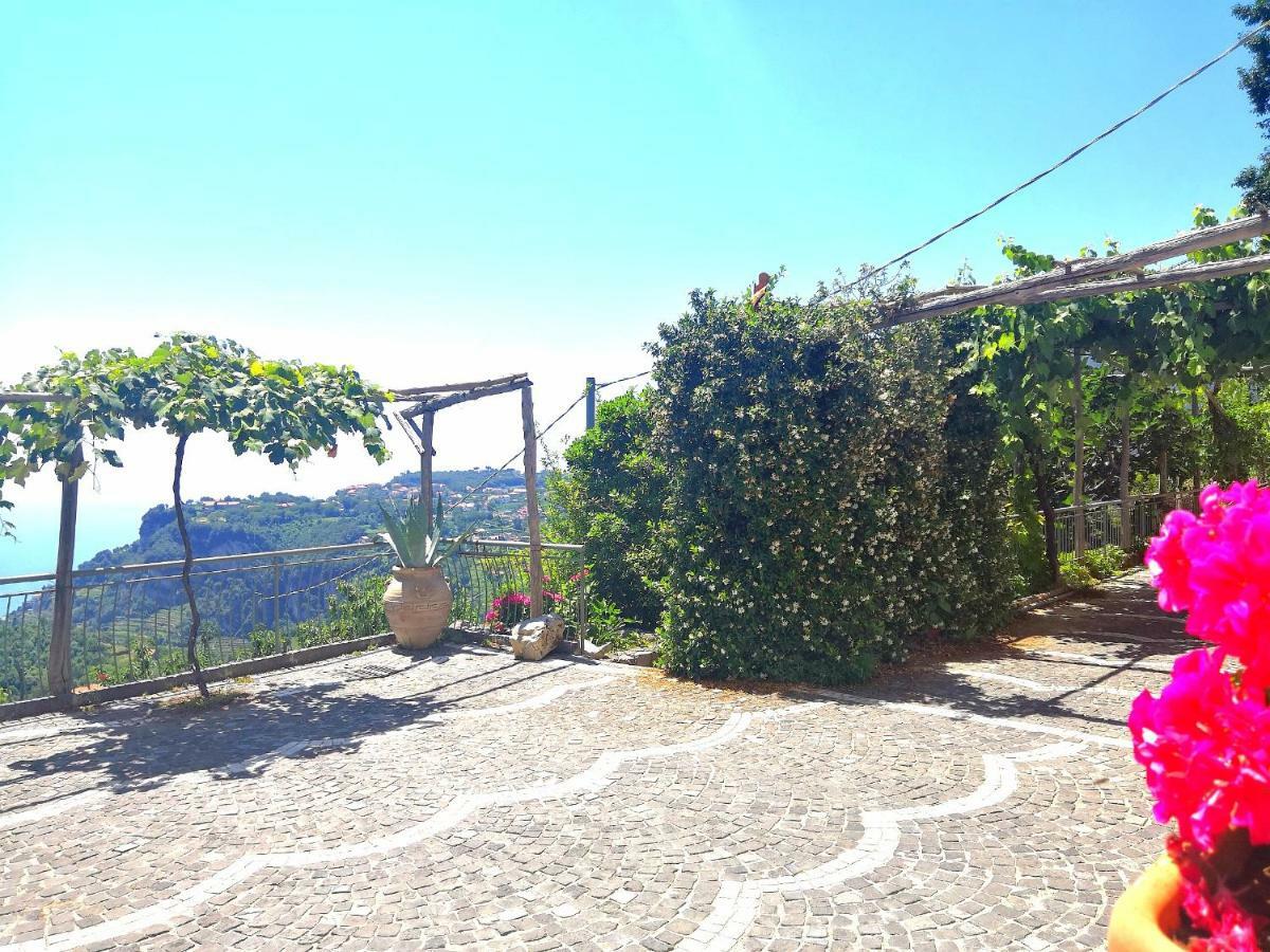 Villa Agriturismo Il Castagno Agerola Exterior foto